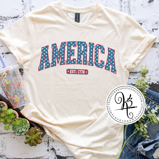 Patriotic America Patriotic / Adult / Short Sleeve