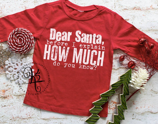 Dear Santa Before I Explain / Toddler / Youth / Long Sleeve